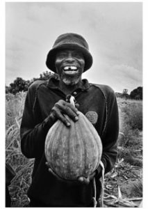 First harvest after the war, Mozambique 