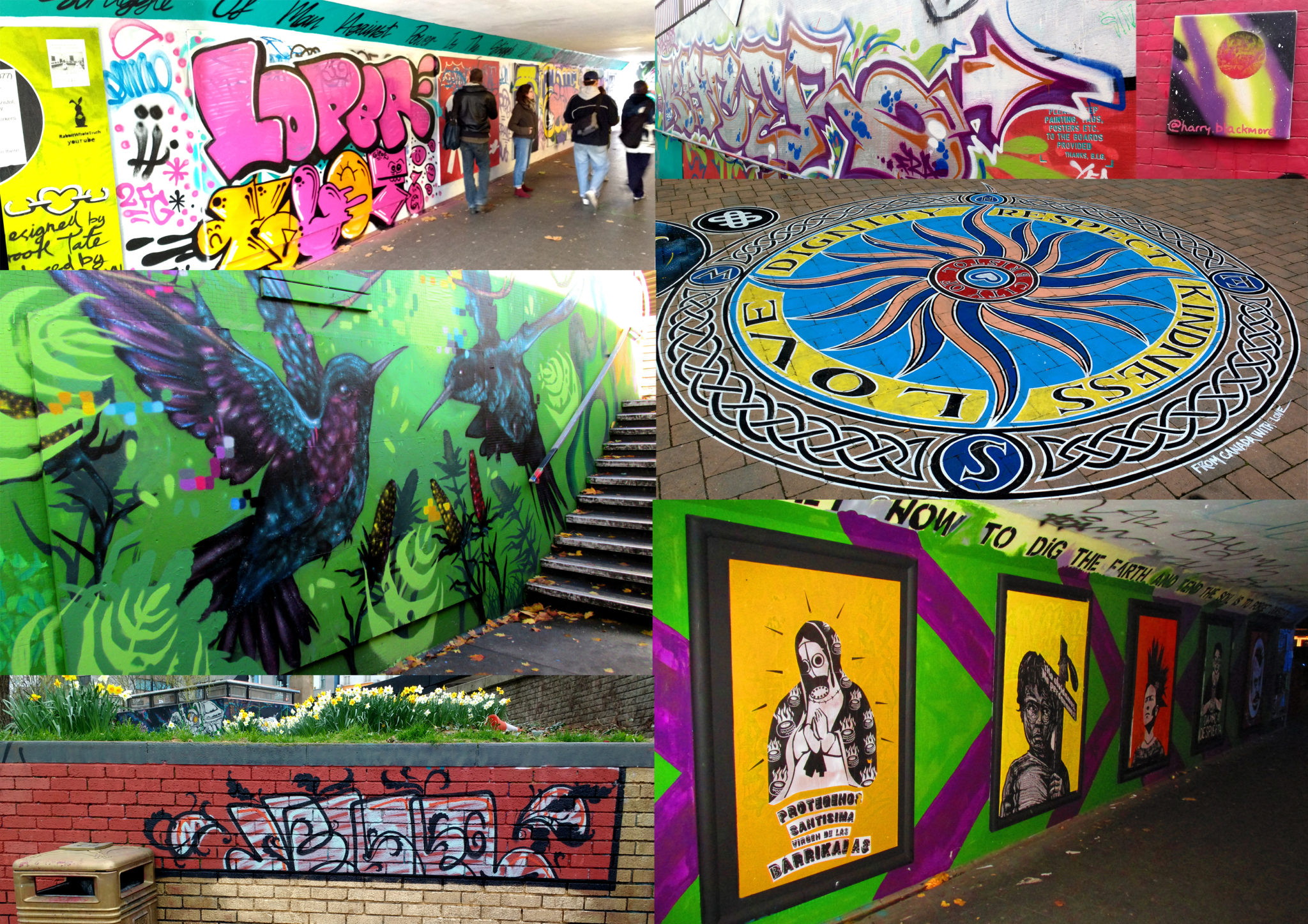 Montage of images of the Bearpit