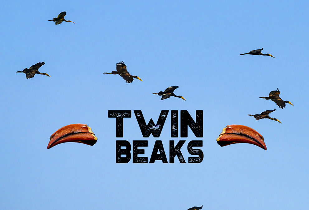 Twin Beaks