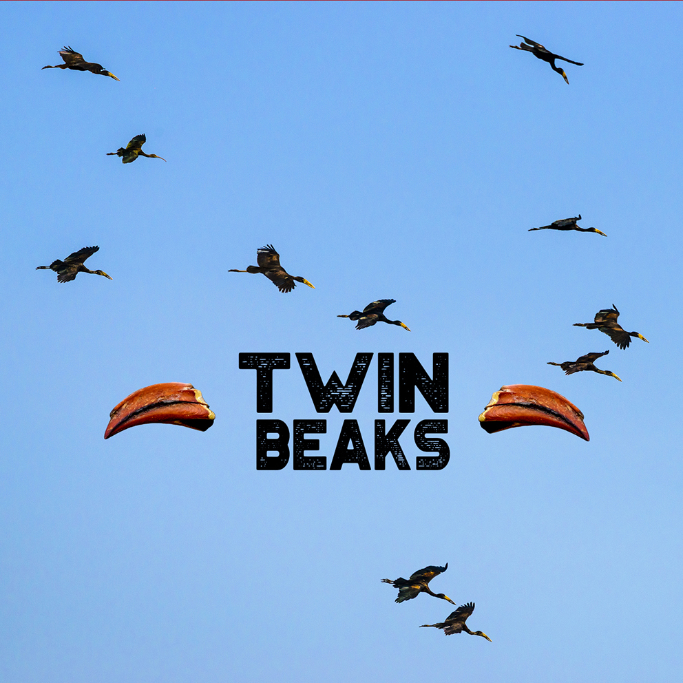 Twin Beaks exhibition flyer