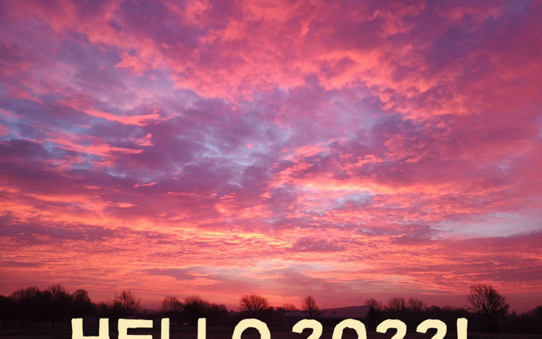 Hello 2022: Weekly News