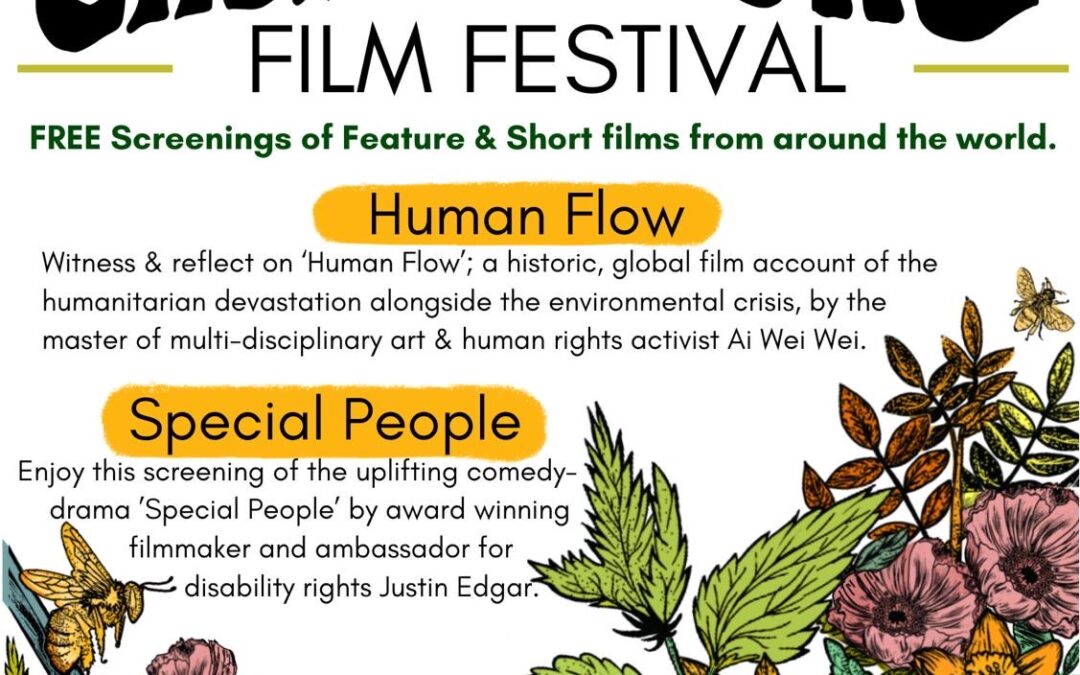 A&E, Accessibility & Environment Film Festival