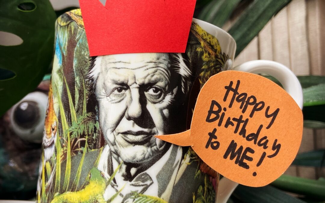 More Art, and a Big Birthday!