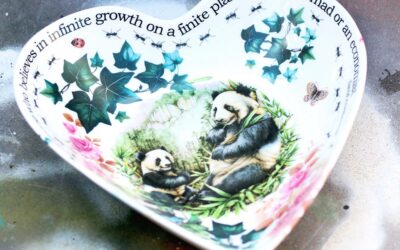 Future Plans & Past Deeds