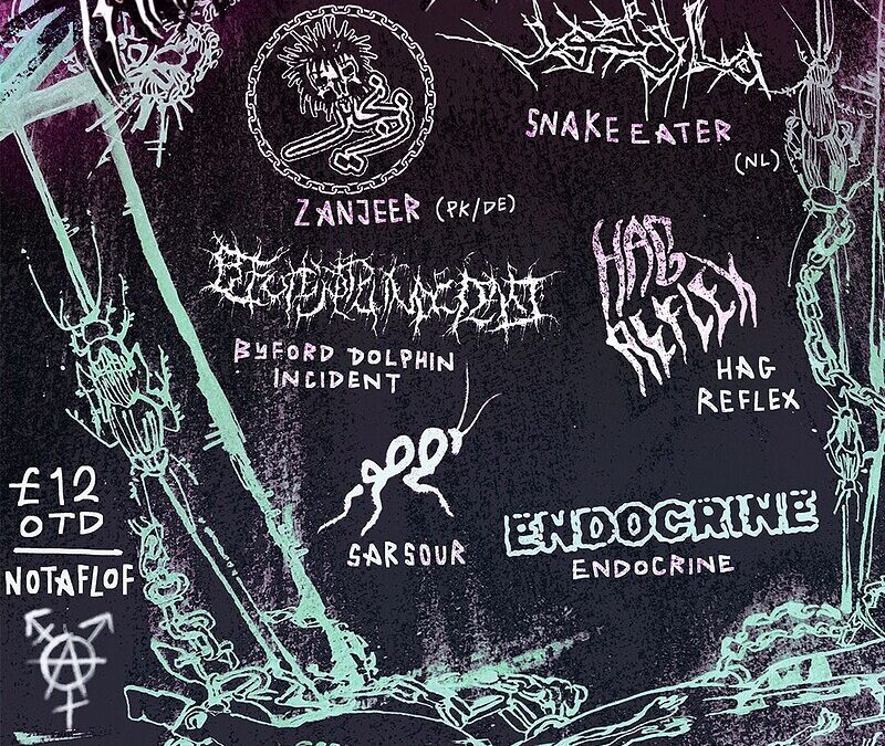 TRANSANGER: Zanjeer, Snake Eater, Sarsour, Endocrine, Hag Reflex, BDI