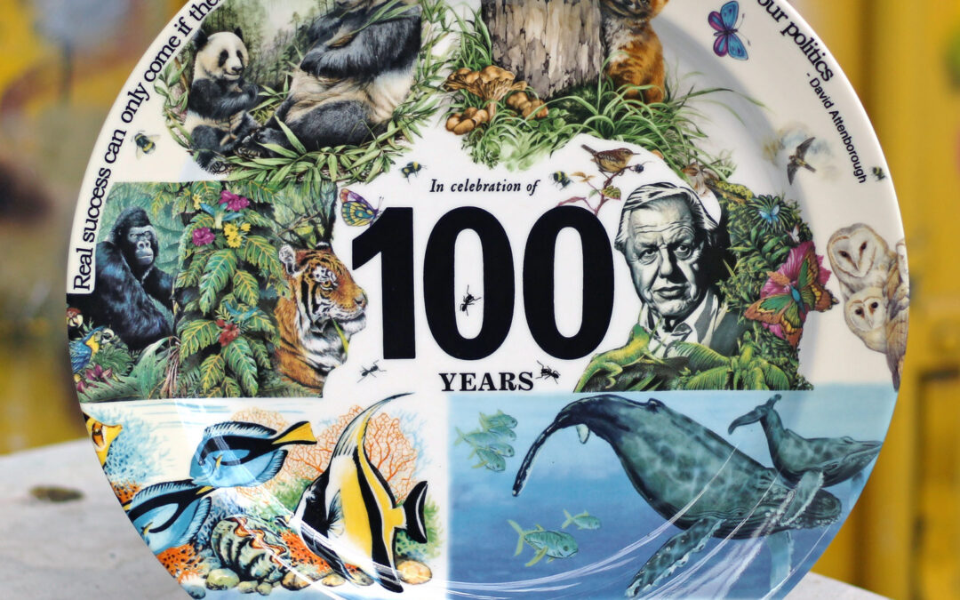 Happy 100th Birthday Sir David Attenborough!